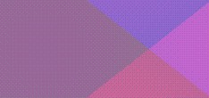 inurl nl amateur video nl